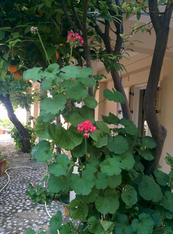 Varagoulis Giannis & Lenas Apartments Paramonas  Exterior photo
